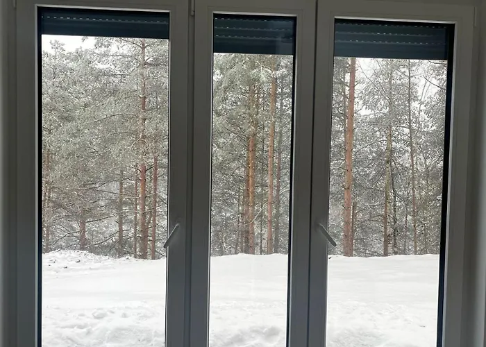 Leona A-1 Divčibare